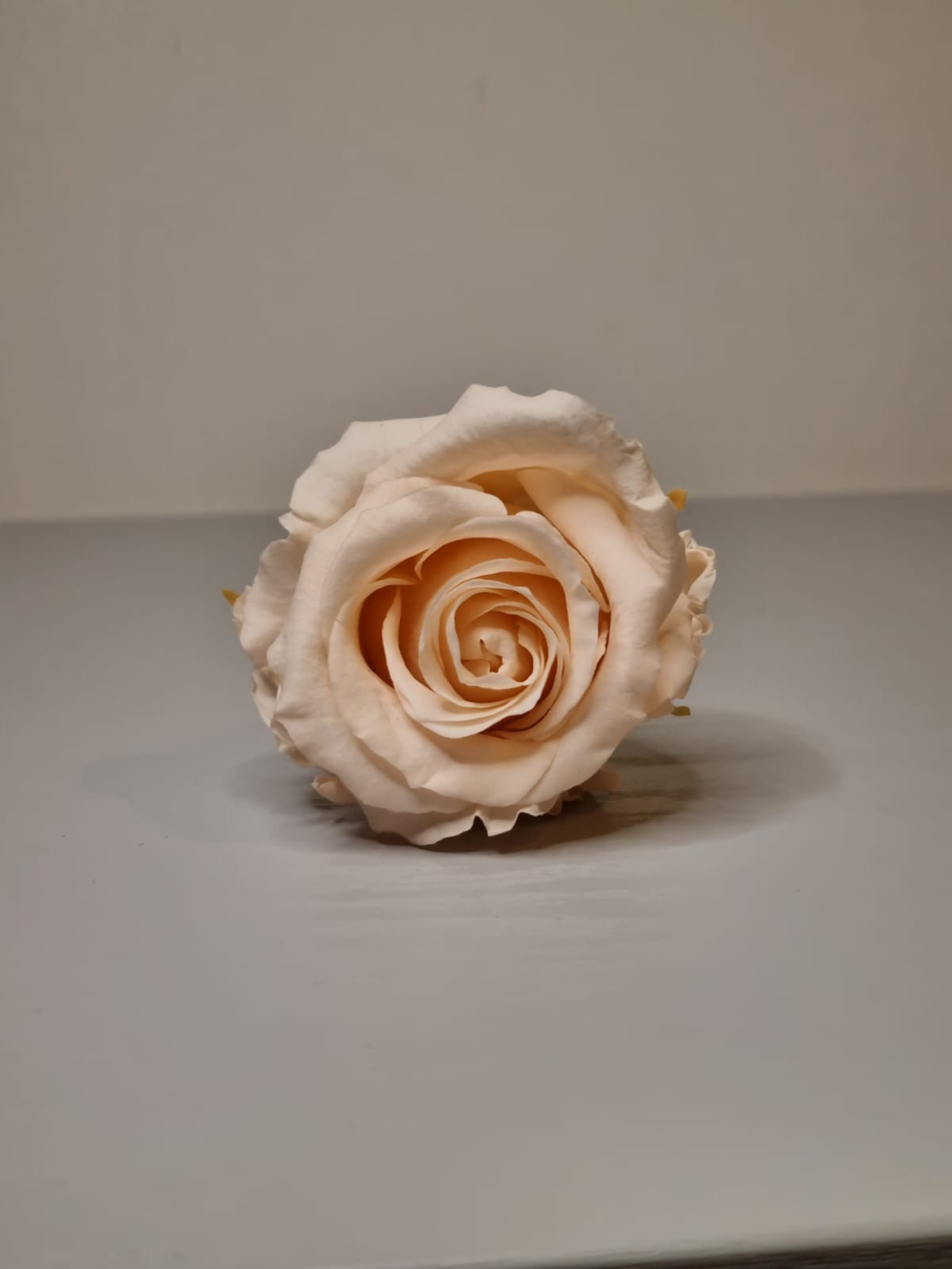 Umrah/Hajj Glass Terrarium Stand Set