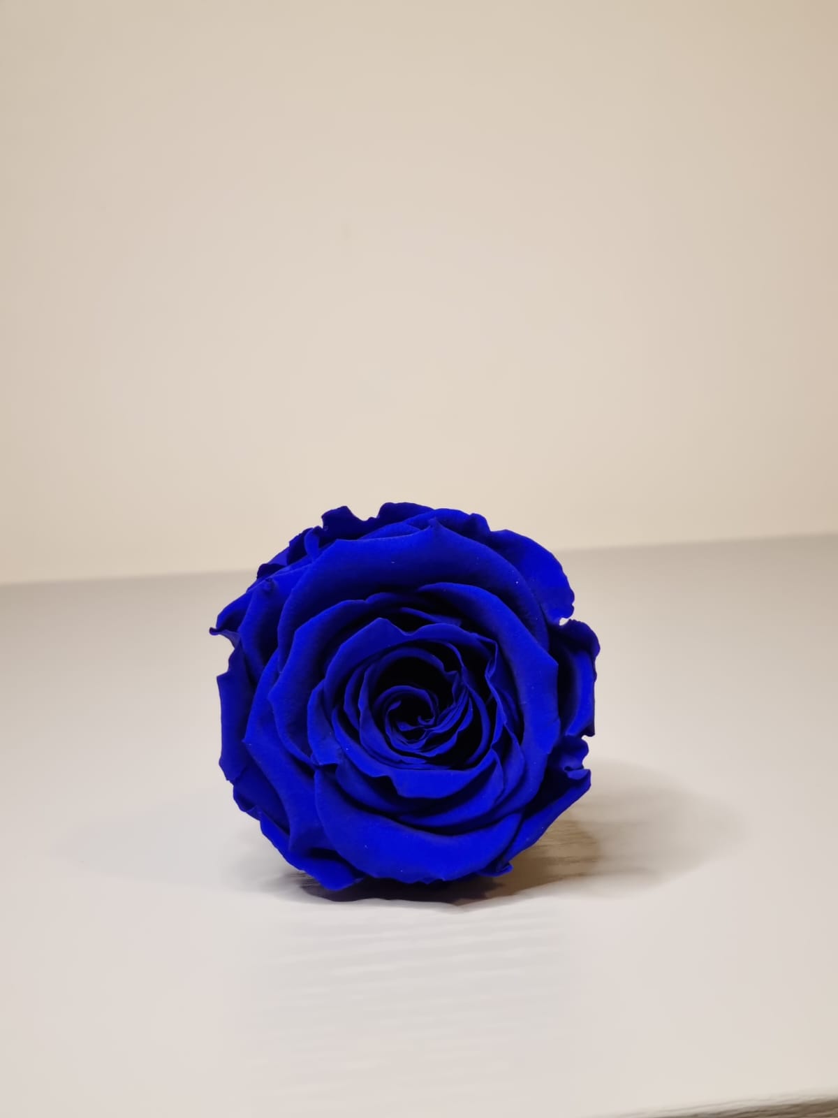 Umrah/Hajj Glass Terrarium Stand Set