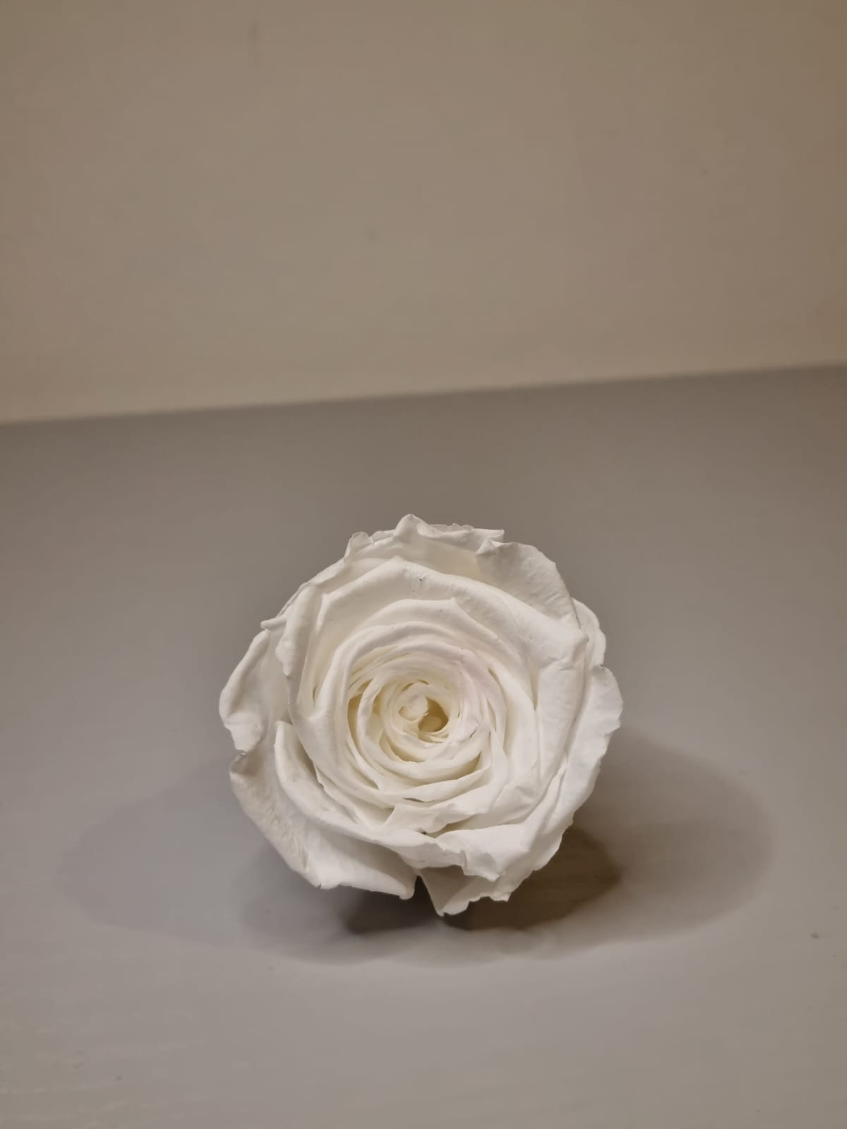 Umrah/Hajj Glass Terrarium Stand Set