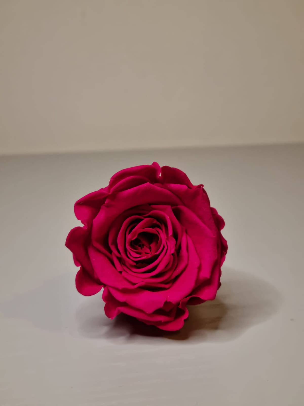 Umrah/Hajj Glass Terrarium Stand Set