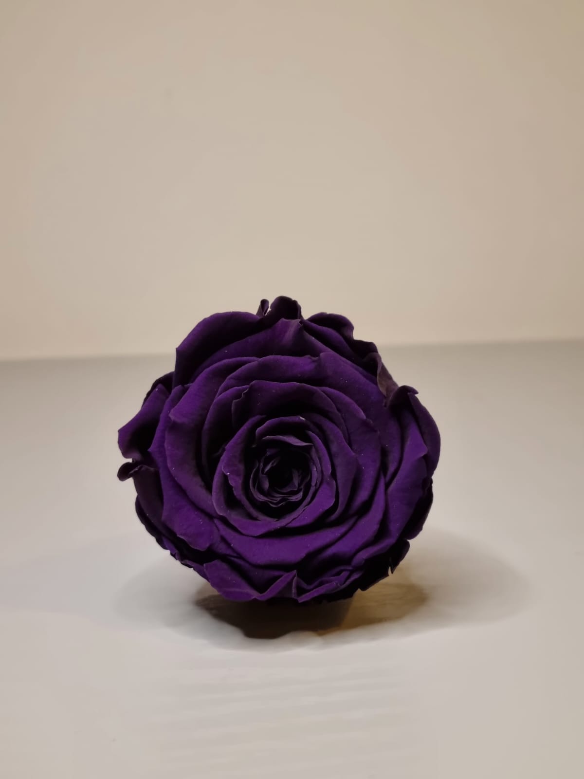 Umrah/Hajj Glass Terrarium Stand Set