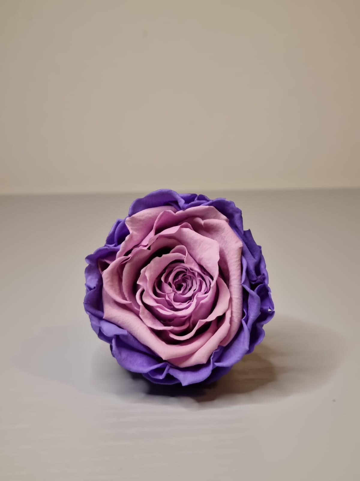 Umrah/Hajj Glass Terrarium Stand Set