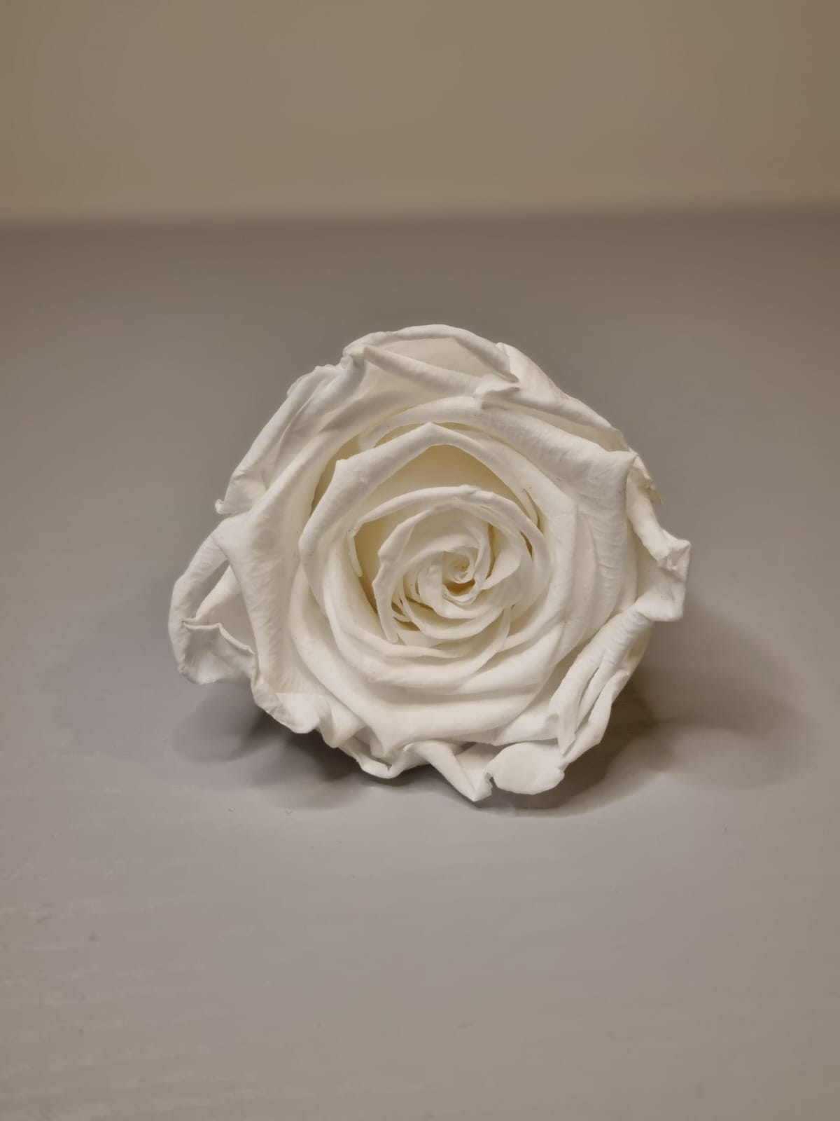 Umrah/Hajj Glass Terrarium Stand Set