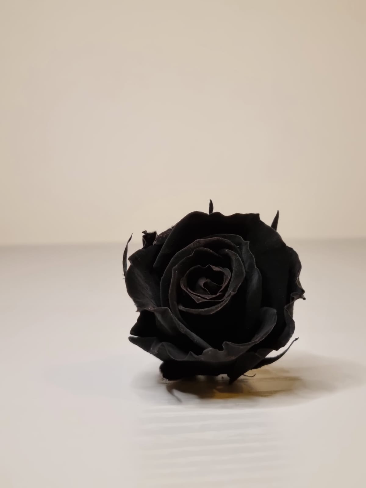 Umrah/Hajj Glass Terrarium Stand Set