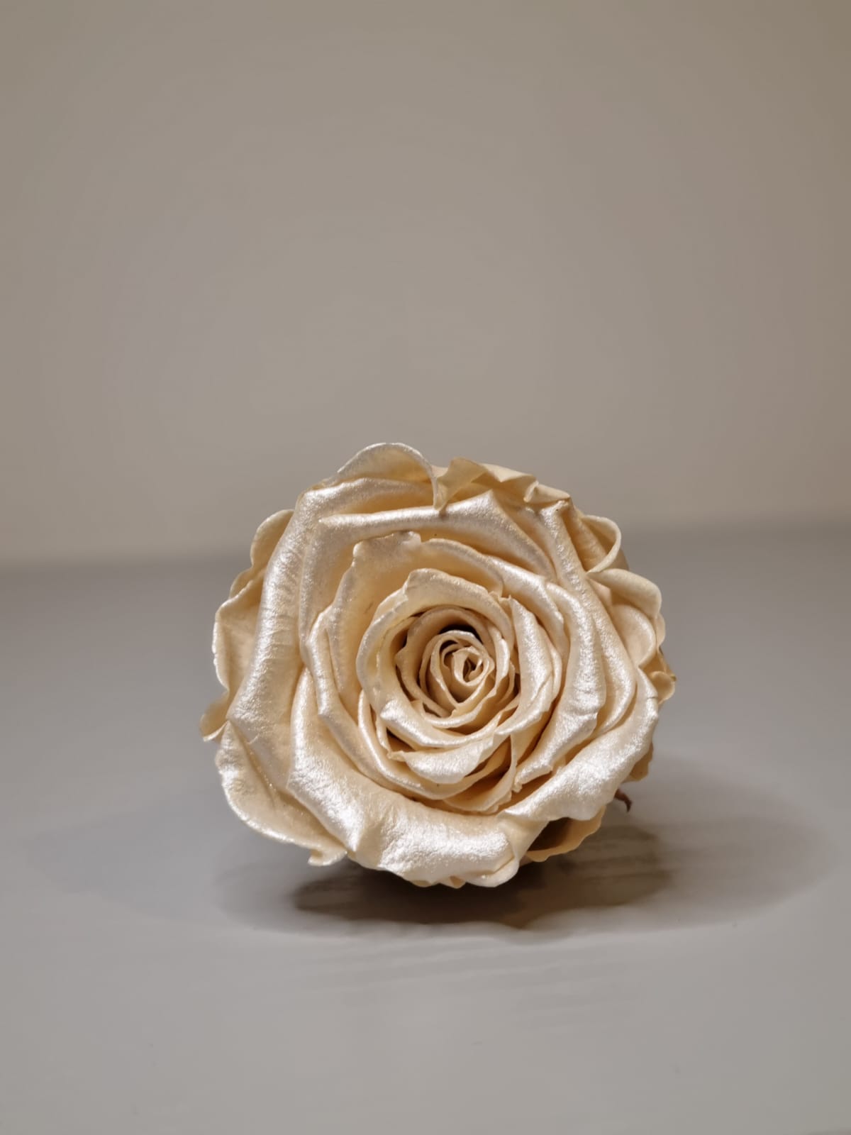 Umrah/Hajj Glass Terrarium Stand Set